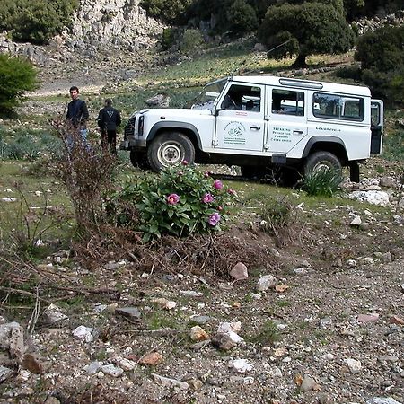 B&B Supramonte Orgosolo Bagian luar foto