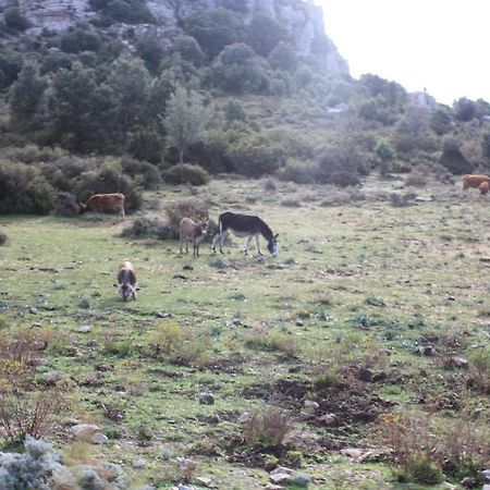 B&B Supramonte Orgosolo Bagian luar foto