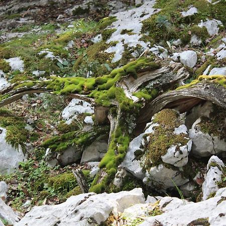 B&B Supramonte Orgosolo Bagian luar foto