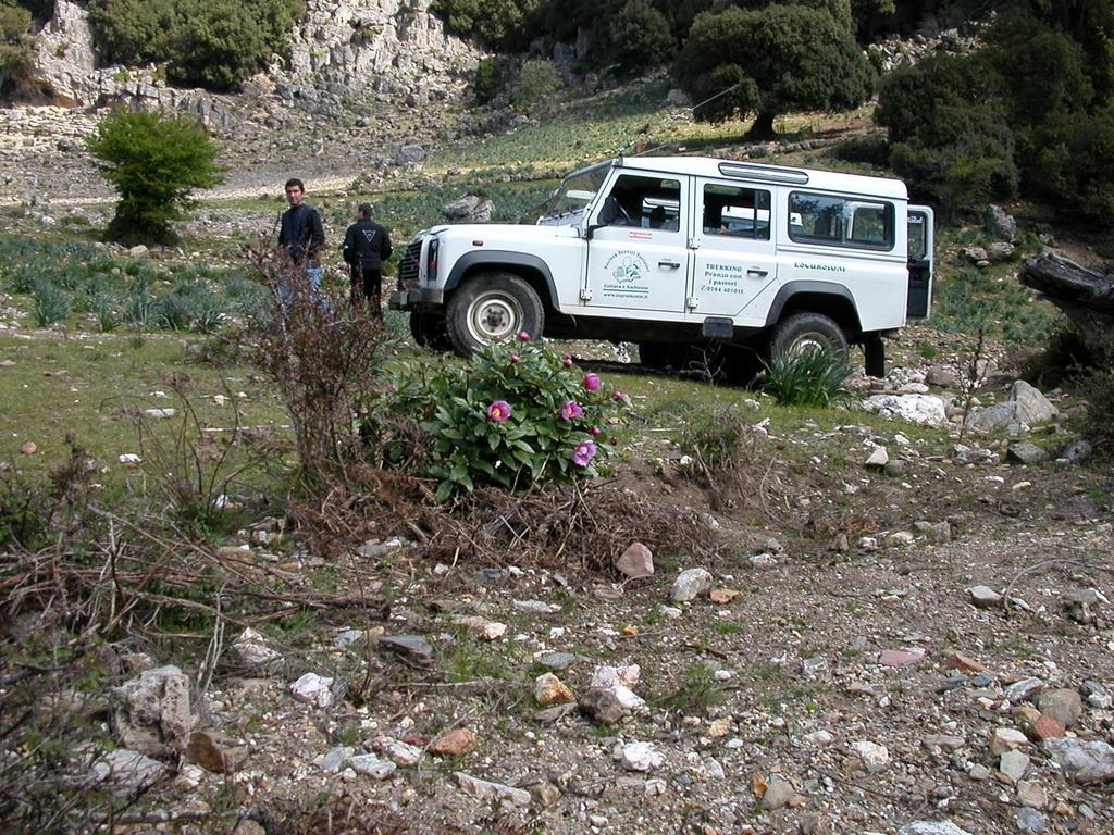 B&B Supramonte Orgosolo Bagian luar foto