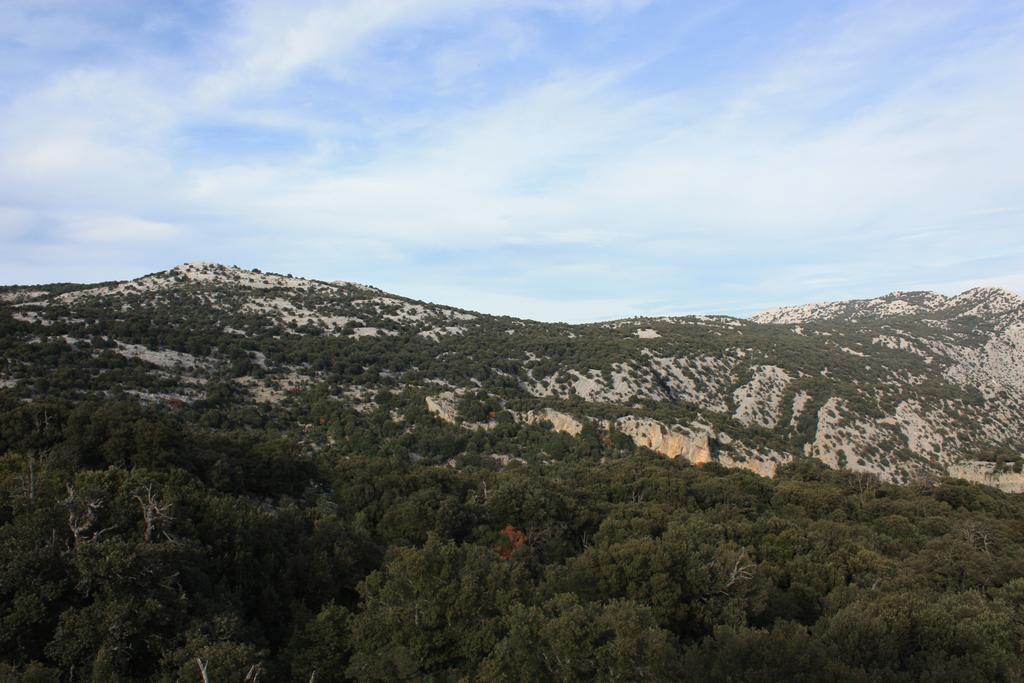 B&B Supramonte Orgosolo Bagian luar foto