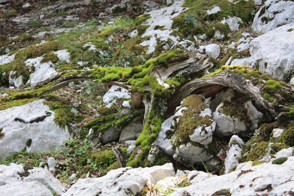 B&B Supramonte Orgosolo Bagian luar foto